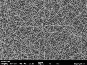 SEM image electrospinning nanofiber-2
